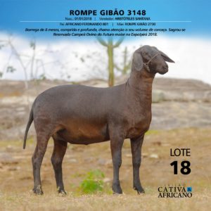 IMG-20180814-WA0004